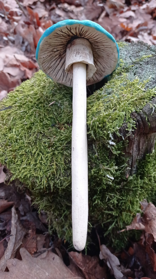 Keramika - zápich houbička tyrkysová — foto 3