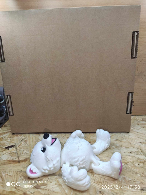 Malý lední medvěd — foto 2