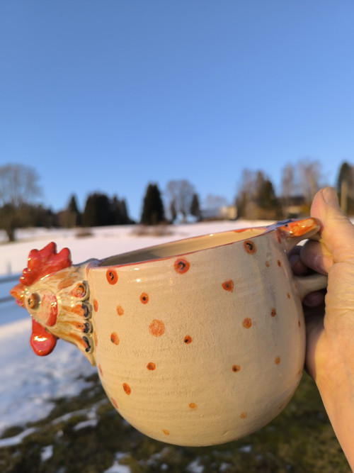 Slepička oranžová — foto 2