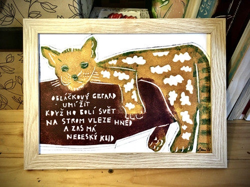 Obláčkový gepard — foto 3