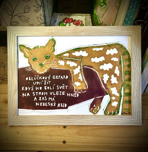 Obláčkový gepard — foto 2