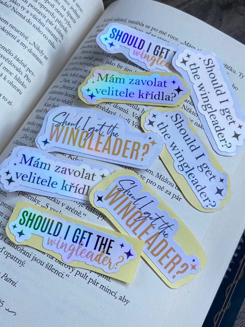 „Should I get the Wingleader?“, Čtvrté křídlo, 3 — foto 2