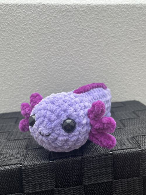 Háčkovaný axolotl — foto 4