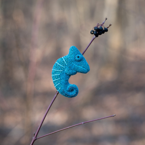 Brož Chamík — foto 5