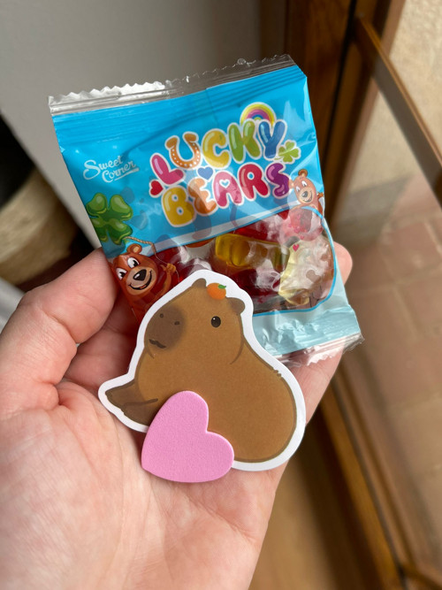 Háčkovací BOX - Žabičkový polštářek — foto 4
