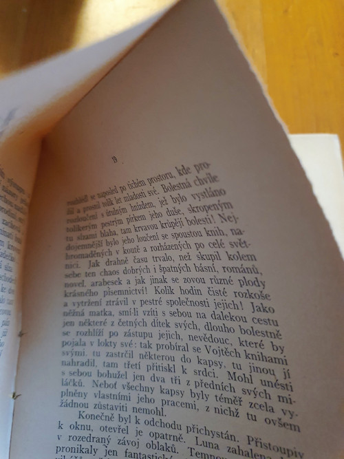 Větší prósa — foto 5
