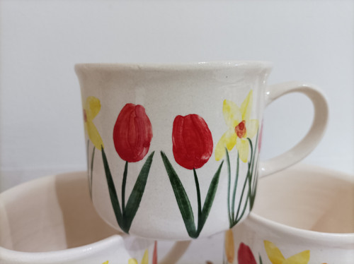 Záhon tulipánů — foto 3