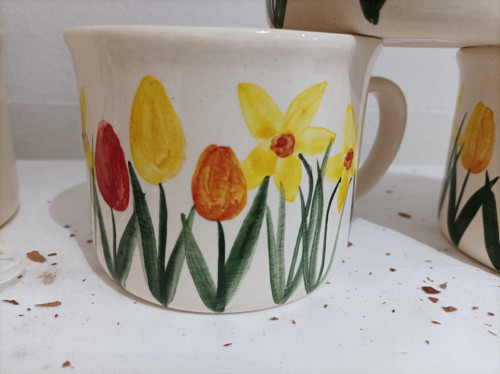 Záhon tulipánů — foto 2