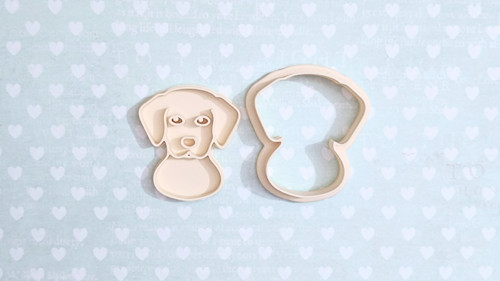 Labrador - set — foto 2
