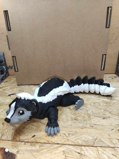 Skunk — foto 3