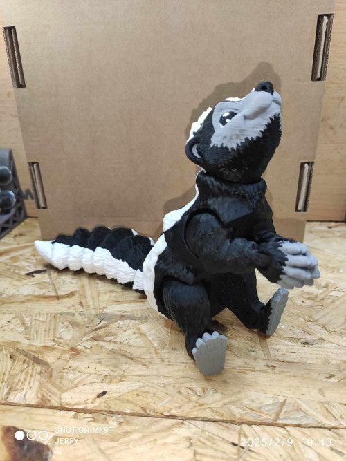 Skunk — foto 2