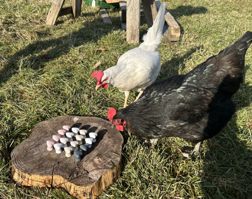 Madlo srdíčko — foto 4