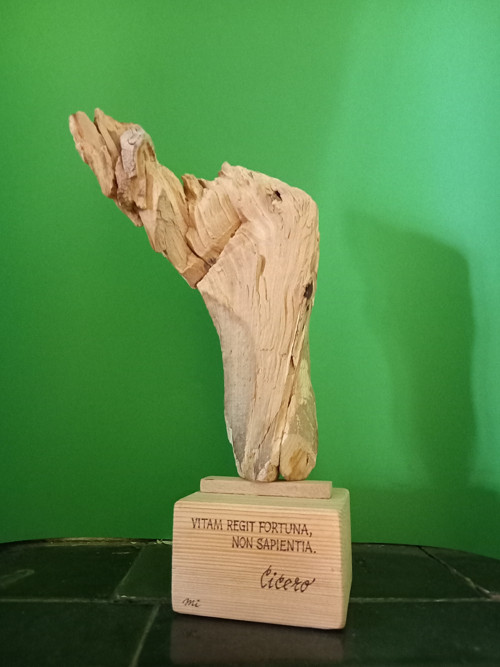 Cicero — foto 3