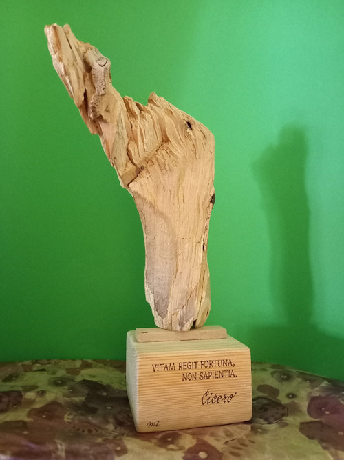 Cicero — foto 2