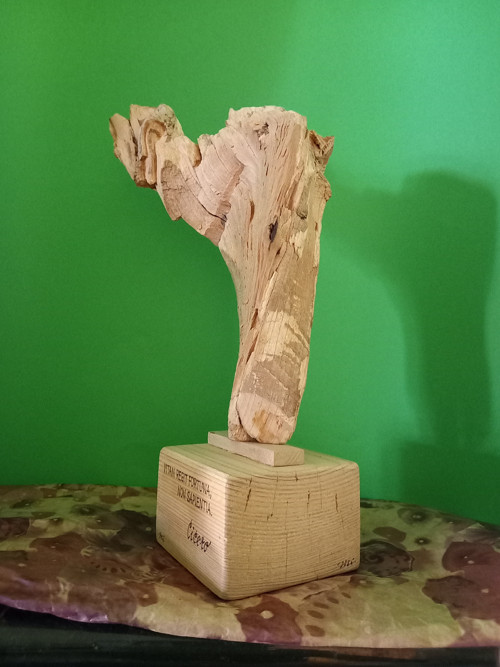Cicero — foto 5