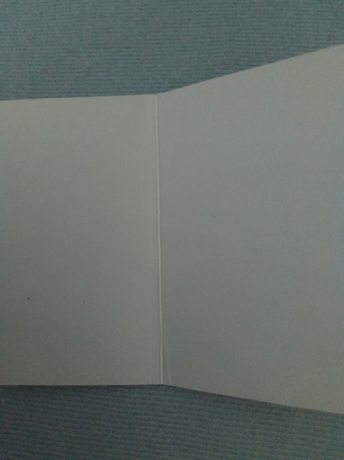 Přání k sňatku — foto 3
