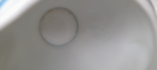 Modré a žluté květy — foto 3
