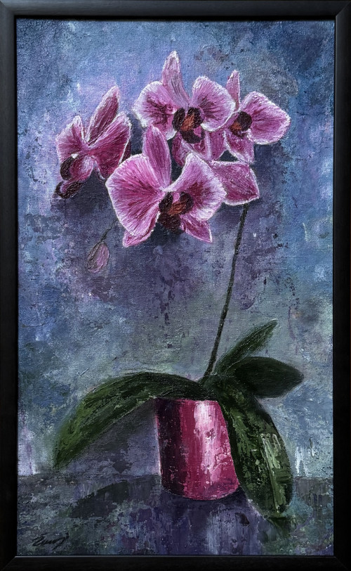 Orchidej — foto 2