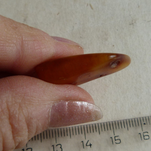 Jantar Polsko Gdaňsk - 2,8 cm — foto 6