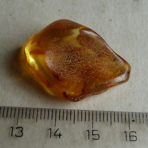 Jantar Polsko Gdaňsk - 3,1 cm - Extra — foto 4