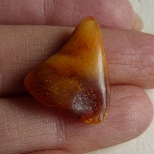 Jantar Polsko Gdaňsk - 2,3 cm — foto 2