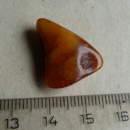 Jantar Polsko Gdaňsk - 2,3 cm — foto 4
