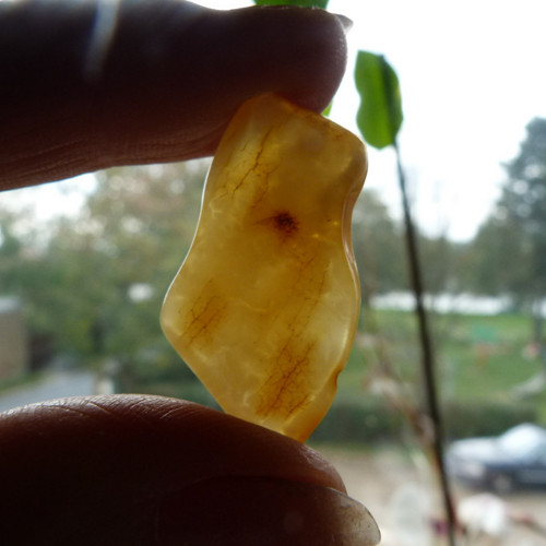 Jantar Polsko Gdaňsk - 3,4 cm — foto 5