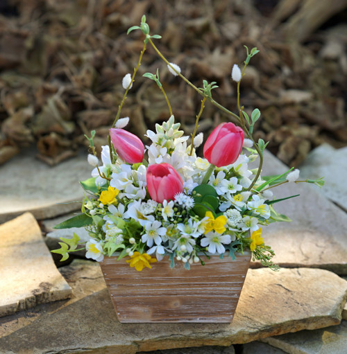 Jarní truhlíček s tulipány — foto 2