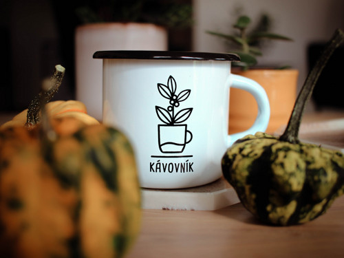 Plecháček Kávovník SLEVA — foto 3