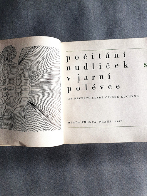 Počítání nudliček v jarní polévce — foto 2
