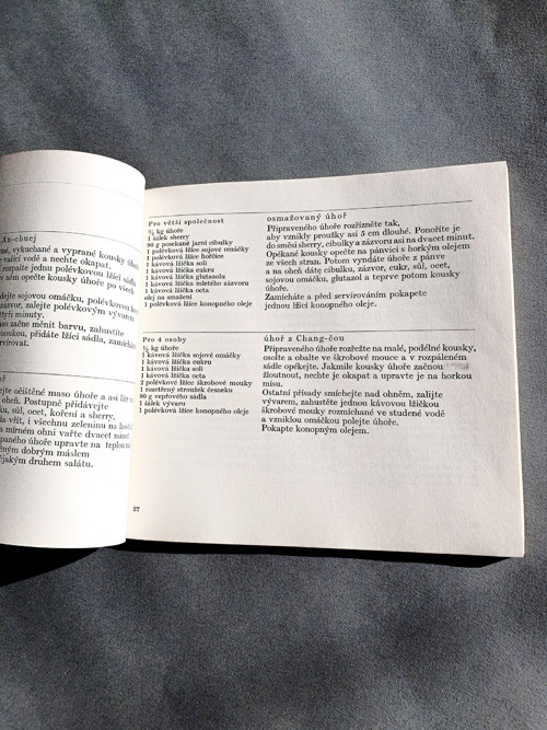 Počítání nudliček v jarní polévce — foto 3