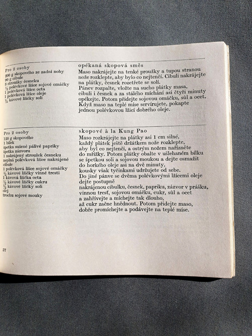 Počítání nudliček v jarní polévce — foto 4