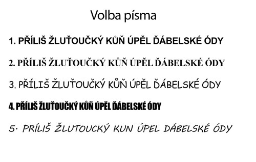 Psí známka kulatá - průměr 3 cm — foto 6