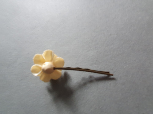 Bílý květ — foto 3