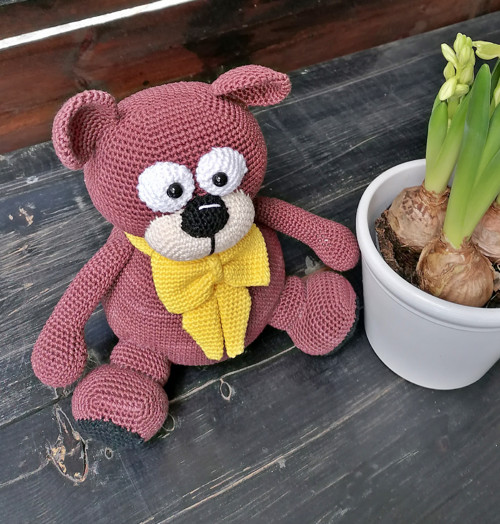 Medvěd elegán — foto 5