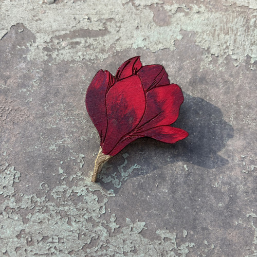 Magnolie poupě — foto 2