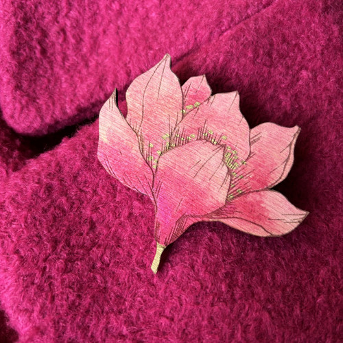 Magnolie velká — foto 2