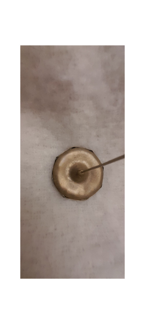 Jehlice se štrasem — foto 4