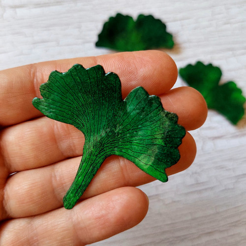 Ginko — foto 3