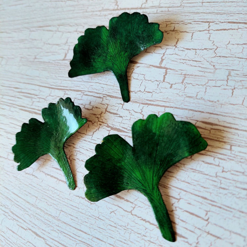 Ginko — foto 5