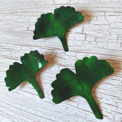 Ginko — foto 6