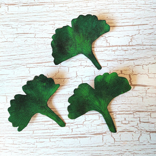 Ginko — foto 4