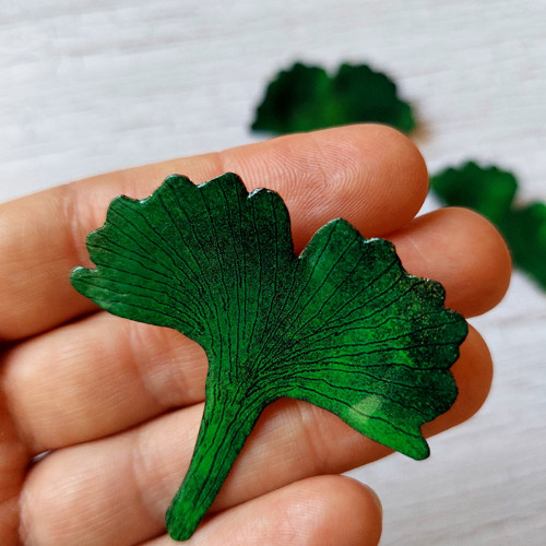 Ginko — foto 2