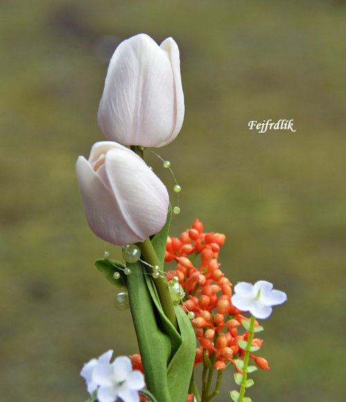 Tančící tulipány :).. — foto 2