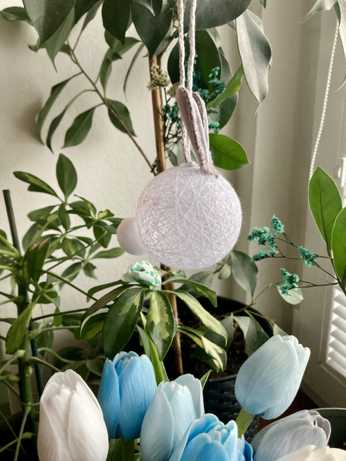 Minimalistický Zajíček Šedivý — foto 4