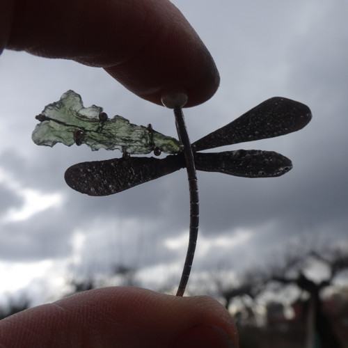 Moje sbírka motýlů... — foto 2