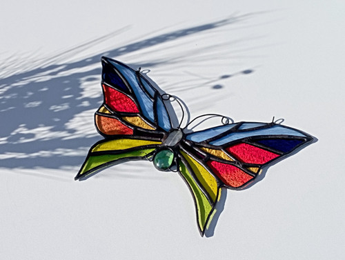 Rainbow butterfly — foto 4