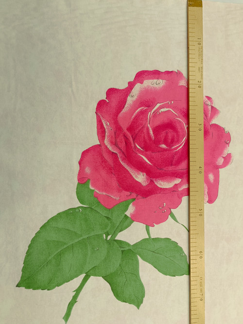 Růže růžová - šíře 90cm — foto 2