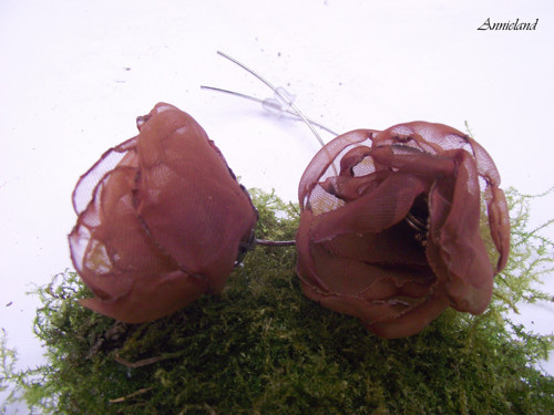 Fiore bruno..... — foto 3