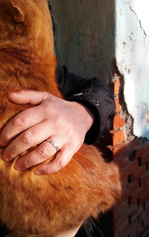 Obrúčka Čiary života, Au 14K, na objednávku — foto 6